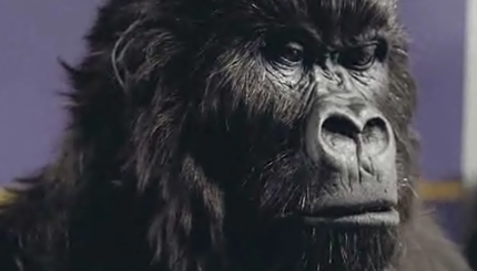 Cadbury%20Dairy%20Milk%20-%20Glass%20and%20a%20Half%20Full%20Productions