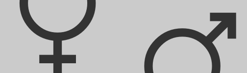 08-2008_mann oder frau.png