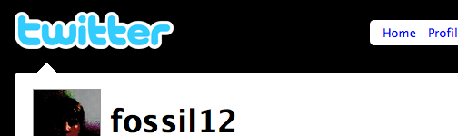 09-2008_twitterdesign.png