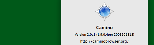10-2008_camino2a.png